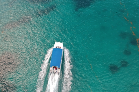 Isla Saona: crucero de día completo con mejoras opcionalesRecogida en el hotel