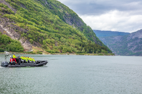 Eidfjord: 1-Hour Fjord RIB Tour