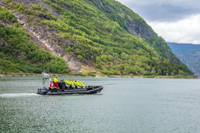 Eidfjord: 1-Hour Fjord RIB Tour
