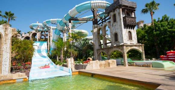 Costa Adeje: Aqualand Water Park Ticket with Dolphin Show