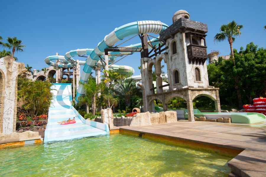 Costa Adeje: Aqualand Wasserpark Ticket mit Delphinshow