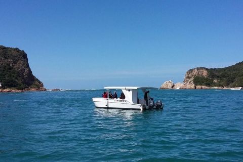 Knysna: Lagoon Boat Cruise and Oyster Tour with Tastings