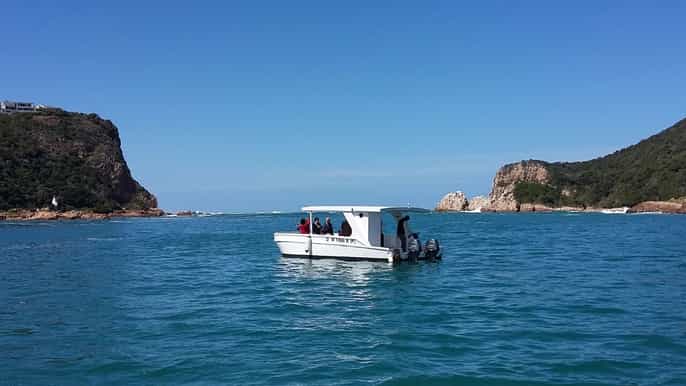 knysna lagoon boat cruise and oyster tour with tastings