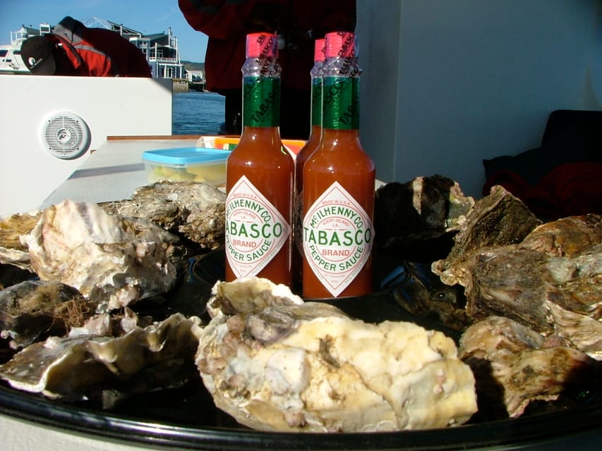 Knysna Lagoon Educational Oyster & White Wine Tasting Cruise GetYourGuide