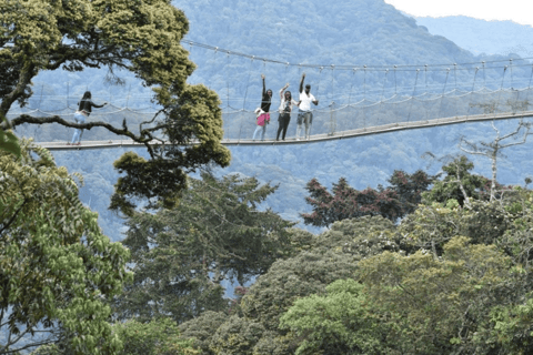 6 Days Primate Safari and lake kivu Adventure.