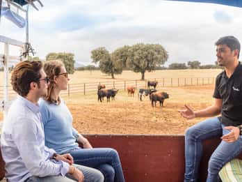Toledo City & 4WD Farm Lunch Tour von Madrid aus Toledo City & 4WD Farm Lunch Tour von Madrid aus