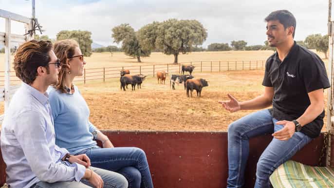 toledo city 4wd farm lunch tour from madrid