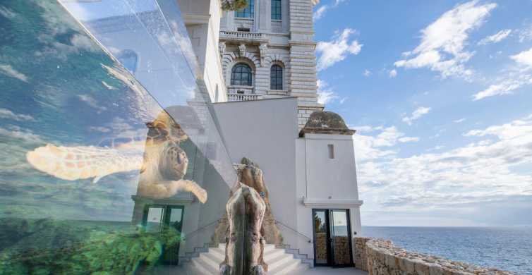 Monaco : billet d’entrée au musée océanographique