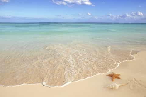 Sarasota: Psychic Sunday Tour