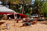 De Djerba, Ksar Ghilane Sahara et Oasis Tour d'une journée complète - Hizvo