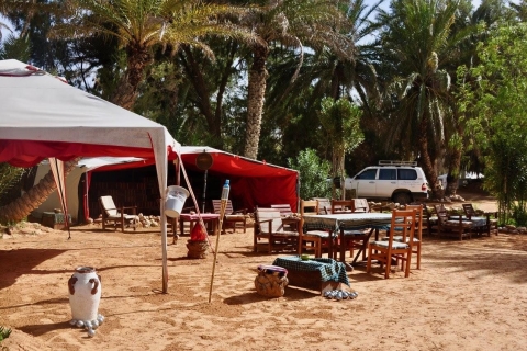 Djerba: Full-Day Ksar Ghilane Oasis Tour