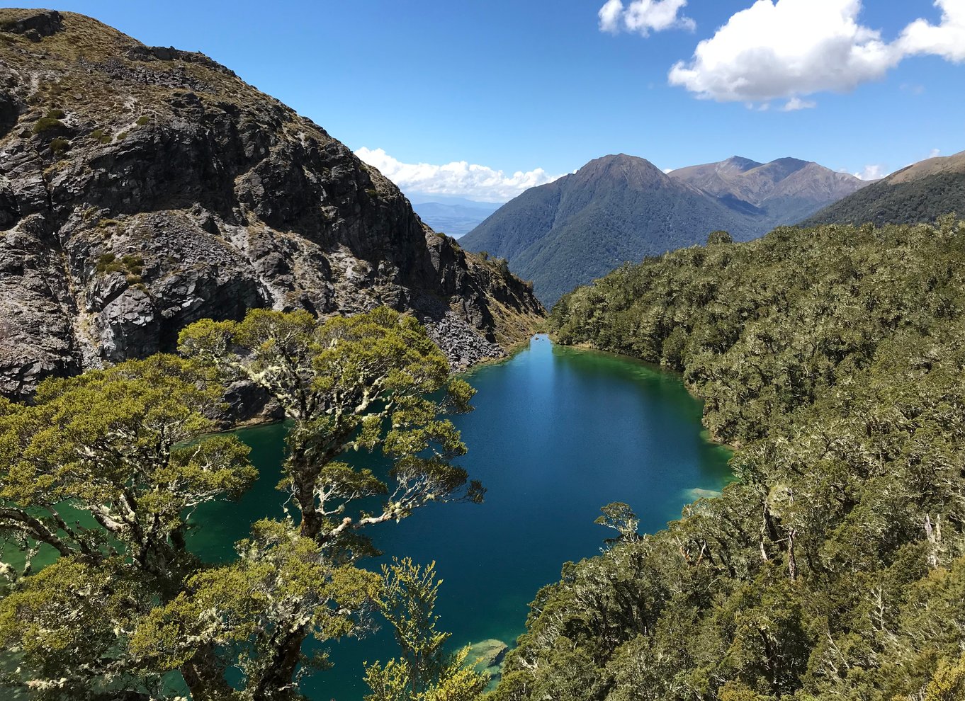 Te Anau: 30 minutters rundflyvning i Fiordland National Park