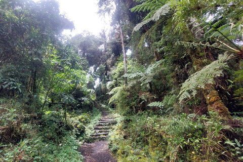 Volcan Barva Heredia Resor och promenader