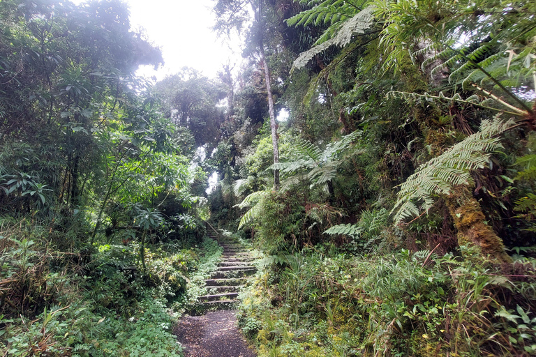 Recorrido y caminata al Volcán Barva Heredia