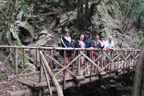 Excursão particular de meio dia ao leste ou oeste da Madeira em jipe abertoExcursão privada de meio dia a leste ou oeste da Madeira em jipe aberto