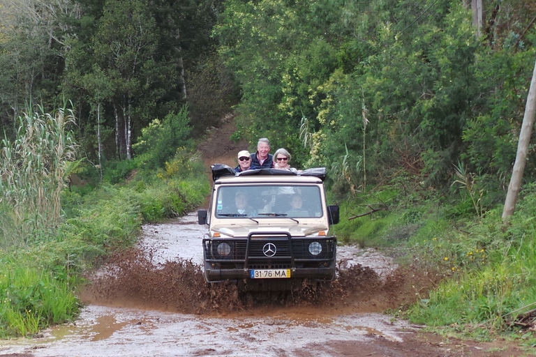 Madera: całodniowa prywatna wycieczka jeepem (wschodnia lub zachodnia)Madeira: Full-Day Private Jeep Tour (wschód lub zachód)