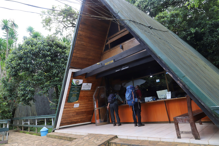 Kilimanjaro: Följ med på 6-dagars Kili Trip via Marangu Route