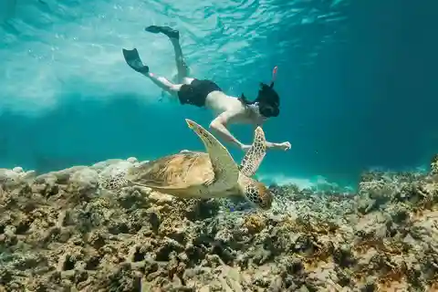 From Bali: 2D1N Gili Island Private Snorkel Boat with Hotel