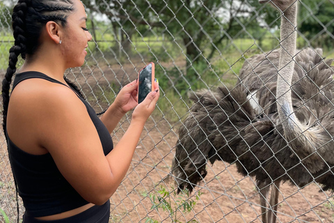 Accra: tour di un'intera giornata nella regione orientale