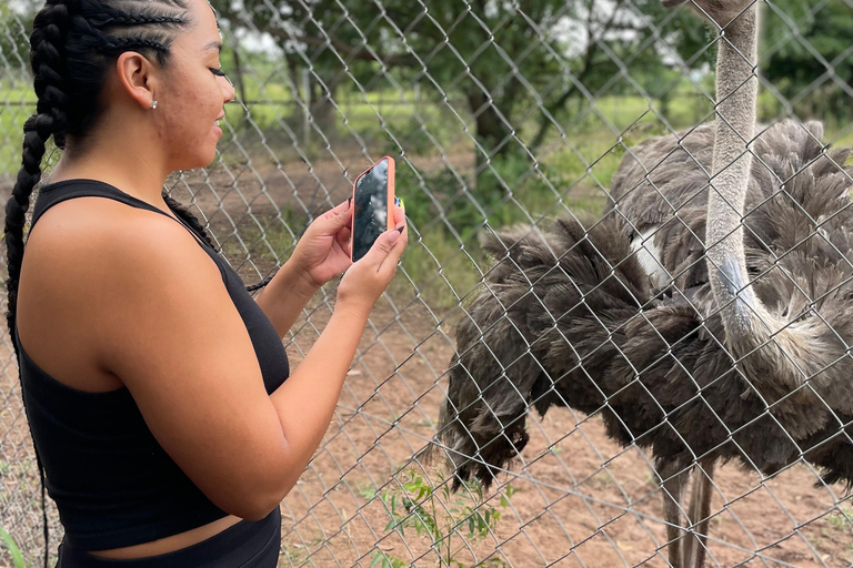Accra: tour di un'intera giornata nella regione orientale