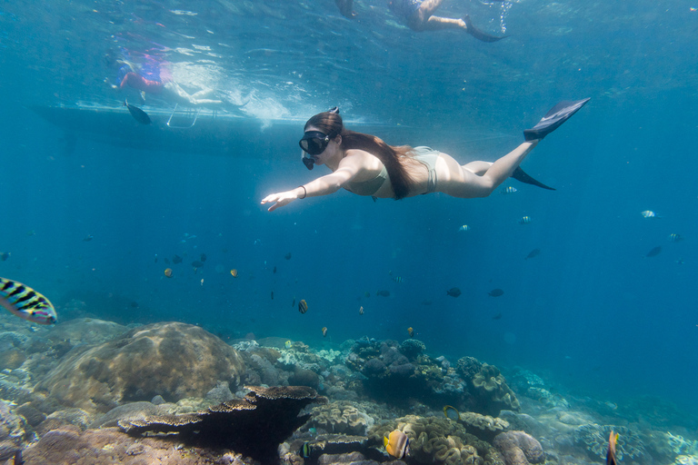 Från Bali: 4-dagars surf- och yogaretreat på Nusa LembonganBoende i bungalow