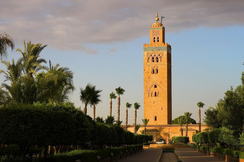 Desde Agadir: Excursión de un día a Marrakech