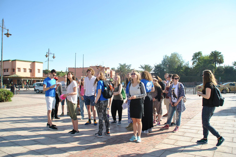 Desde Agadir: Excursión de un día a Marrakech