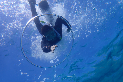 Maiorca: Mergulho de Snorkel em uma Bela Reserva Natural