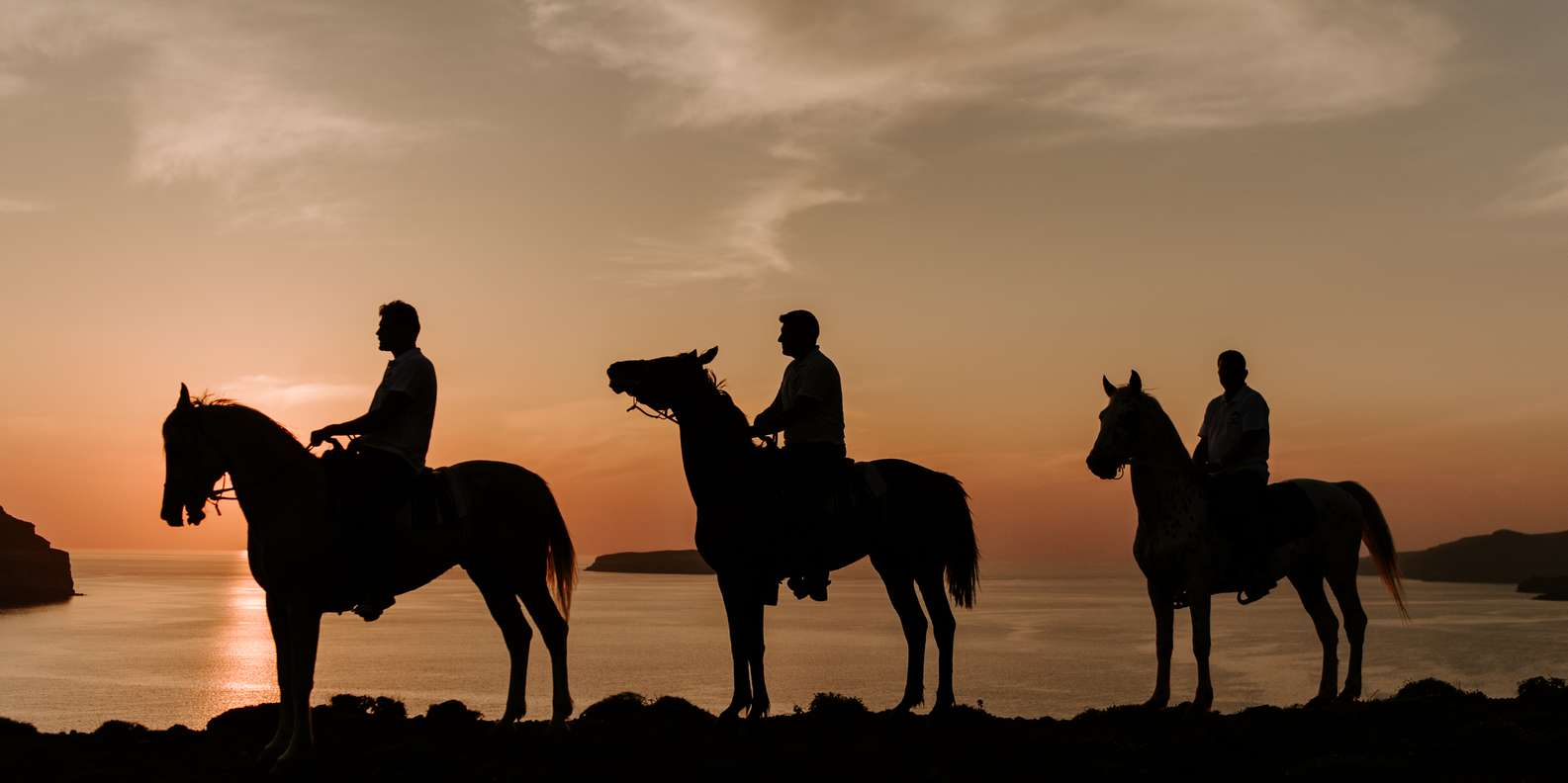 horse and rider silhouette sunset