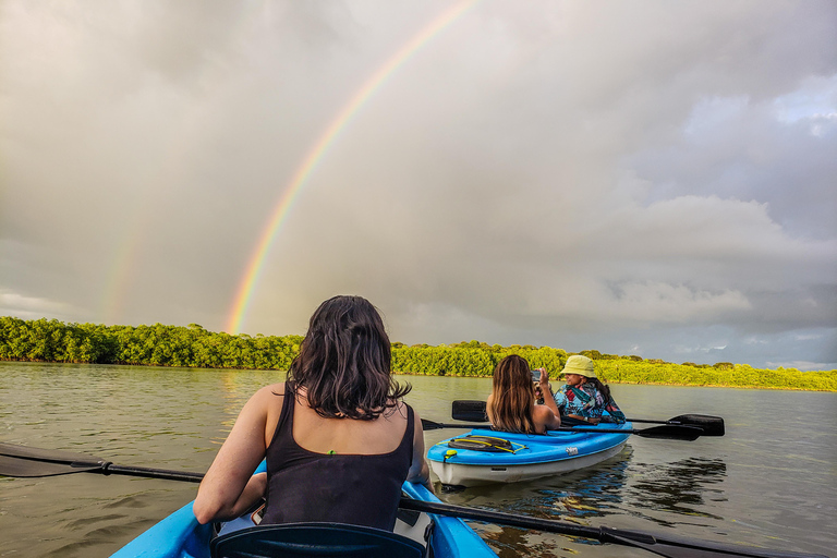 Tour de Kayaks en los manglares de David, Chiriquí