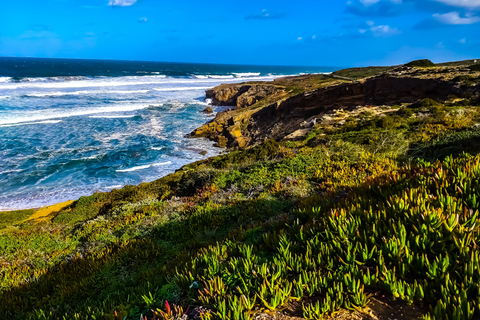 Da Lagos: tour nella selvaggia e meravigliosa West Coast