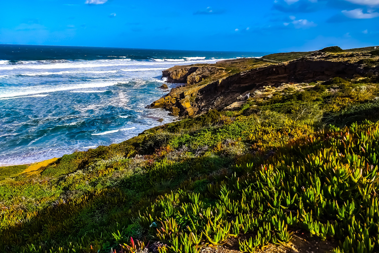 Da Lagos: tour nella selvaggia e meravigliosa West Coast