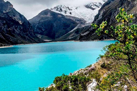 Ancash : Randonnée à la lagune de Parón avec droit d&#039;entrée | Journée entière|