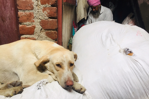 Delhi: Ethical Sanjay Colony Slum Tour Walking Tour from Connaught Place