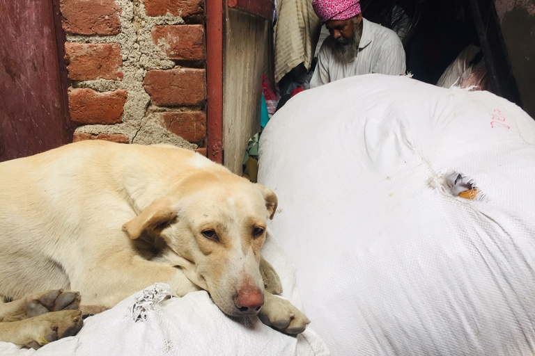 Delhi: Ethical Sanjay Colony Slum Tour Walking Tour from Connaught Place