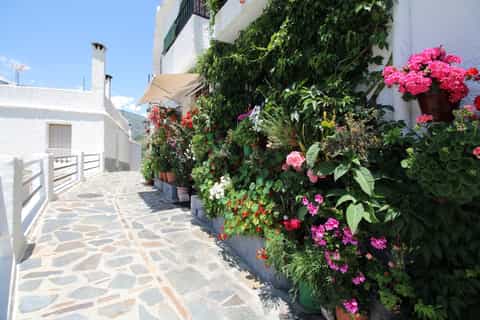 From Seville: Full-Day White Villages and Ronda Tour