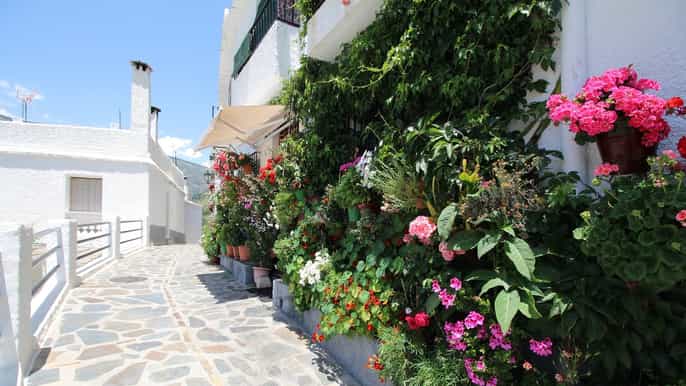 from seville fullday white villages and ronda tour