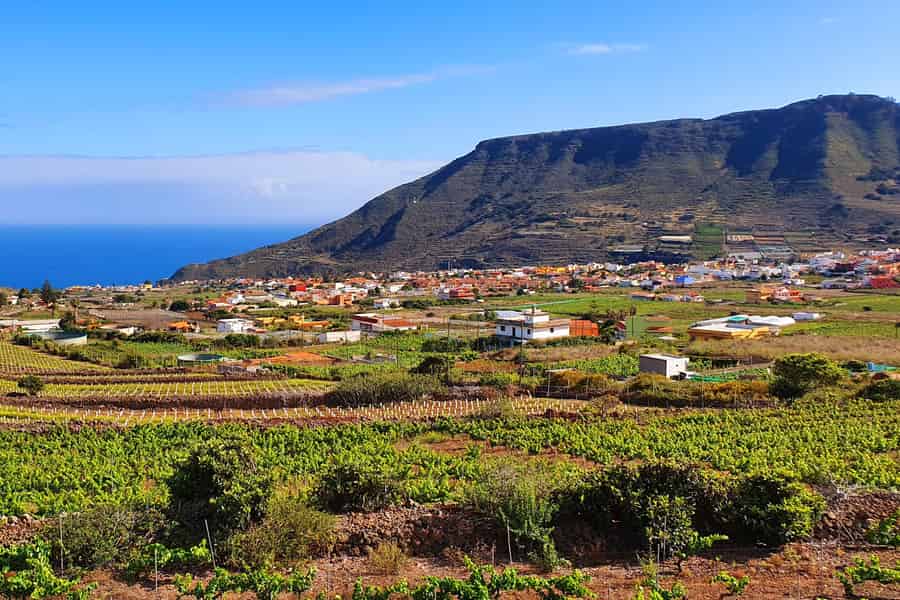 Teneriffa-Wein: Führung & Verkostung mit kanarischen Häppchen. Foto: GetYourGuide Teneriffa-Wein: Führung & Verkostung mit kanarischen Häppchen. Foto: GetYourGuide