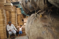 Dharavi Walking Tour with Options - Housity