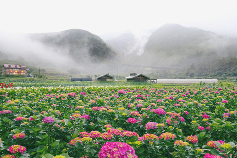 Desde Taipei: tour privado por la naturaleza y el volcán YangmingshanTour privado al volcán Yangmingshan