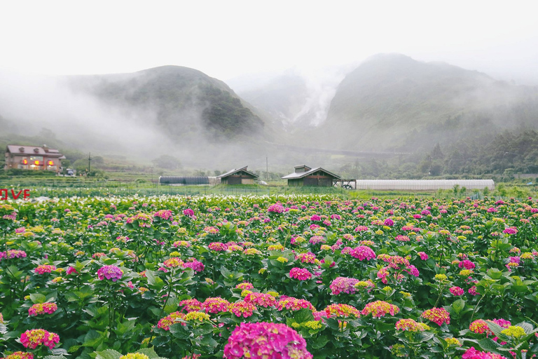 From Taipei: Private Yangmingshan Volcano and Nature Tour Private Yangmingshan Volcano Tour