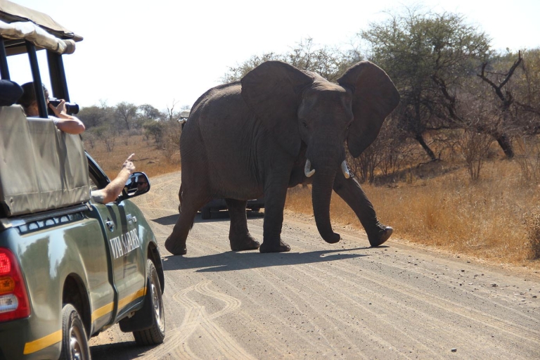 Johannesburgo: Safari Clásico de 3 días por el Parque Nacional KrugerExcursión con recogida y regreso al aeropuerto
