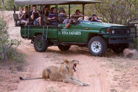 Johannesburg : 3 jours de safari classique dans le parc national KrugerVisite avec prise en charge et retour à l'hôtel