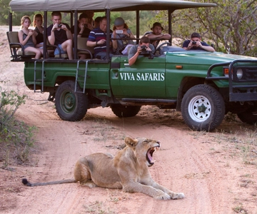 Johannesburg: 3-Day Classic Kruger National Park Safari Tour