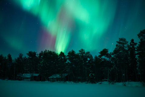 Rovaniemi: Caza de auroras y barbacoa junto al fuego