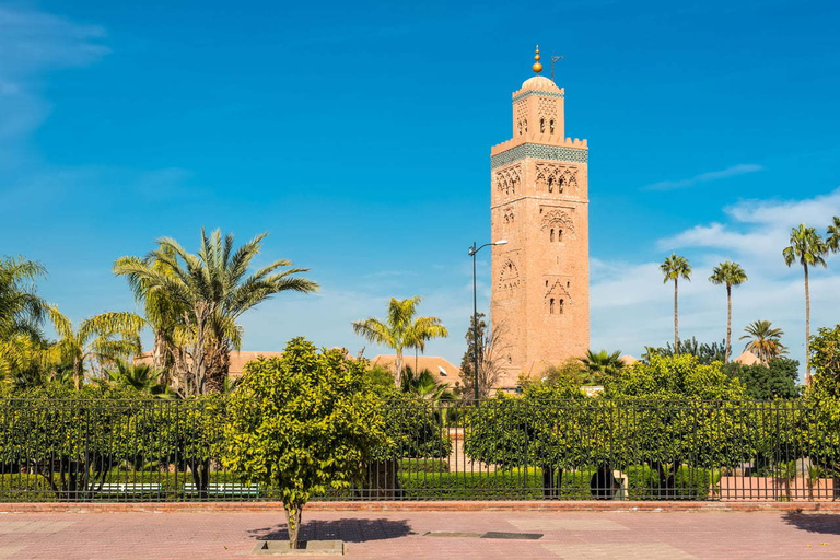 Från Agadir: Dagstur till Marrakech: Från Agadir till MarrakechFrån Agadir: Dagsutflykt till Marrakech