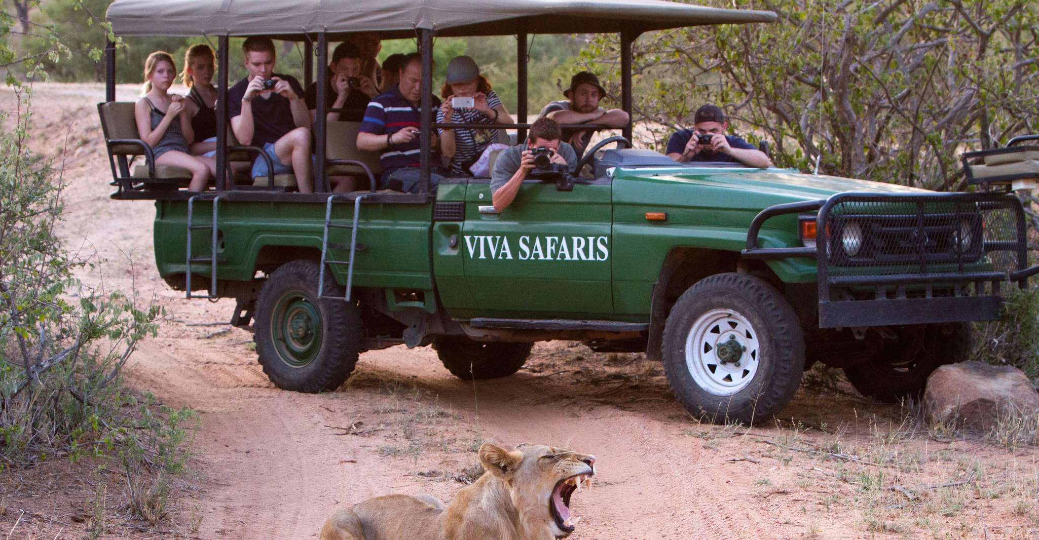 Johannesburg, 4 giorni Classic Kruger National Park Safari - Hizvo