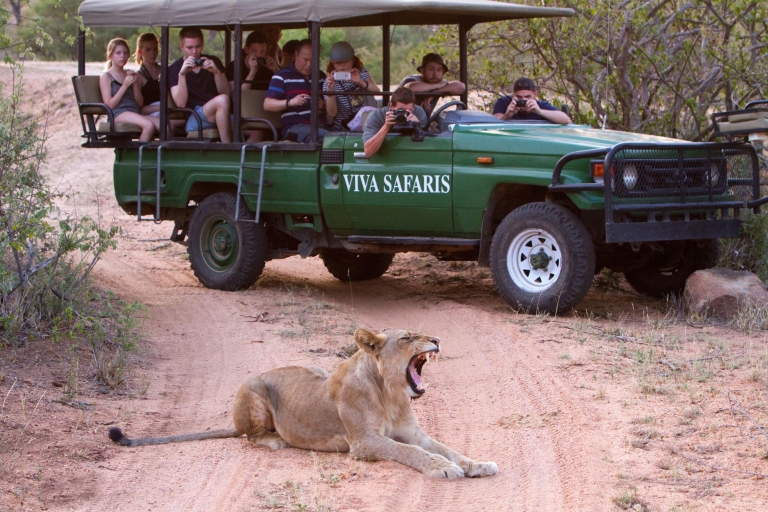 Johannesburgo: Safari clásico de 4 días por el Parque Nacional KrugerOpción Estándar