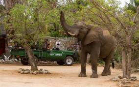 Johannesburg: 4-Day Classic Kruger National Park Safari
