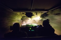 Johannesburgo, 4 días Classic Kruger National Park Safari - Hizvo